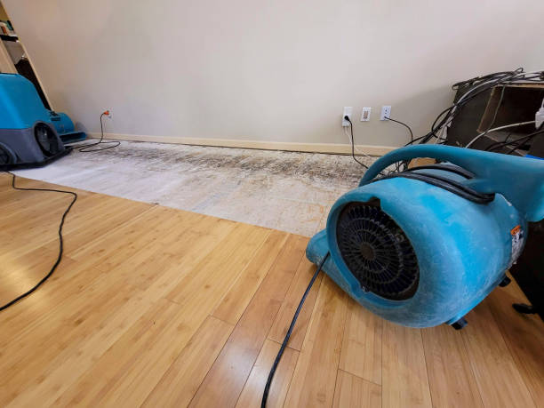 Professional Ceiling Water Damage Repair technician working in Vaughn, WA